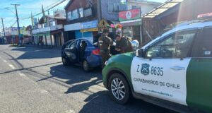 Tres Detenidos en Freire: Transportaban 48 Plantas de Marihuana en Vehículo
