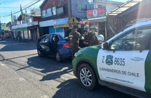 Tres Detenidos en Freire: Transportaban 48 Plantas de Marihuana en Vehículo