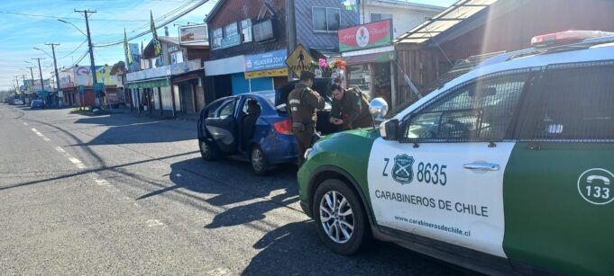 Tres Detenidos en Freire: Transportaban 48 Plantas de Marihuana en Vehículo