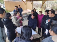 A un Mes de Siniestro: Confirman Retorno a Clases de Estudiantes de Escuela Aniñir de Traiguén