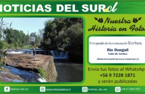 Salto de Gorbea, Rio Donguil