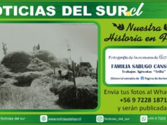 Familia Sabugo Canseco de Gorbea