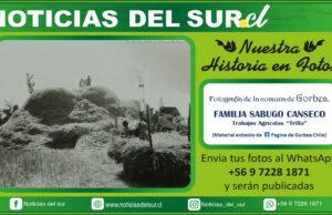 Familia Sabugo Canseco de Gorbea