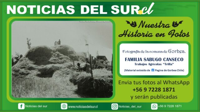 Familia Sabugo Canseco de Gorbea