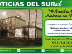 Gorbea, Molinera Gorbea Ltda