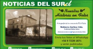 Gorbea, Molinera Gorbea Ltda