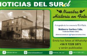 Gorbea, Molinera Gorbea Ltda