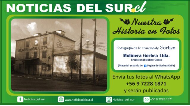 Gorbea, Molinera Gorbea Ltda