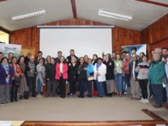 Gorbea Contará Con Servicio De Notaría