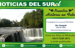 Río Donguil, Salto de Gorbea