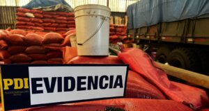 Recuperan Más Del Mil Sacos De Raps Sustraídas Desde Una Empresa De Freire Avaluados en $40 Millones