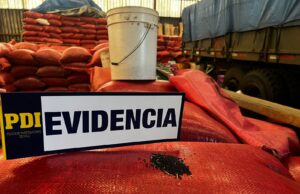 Recuperan Más Del Mil Sacos De Raps Sustraídas Desde Una Empresa De Freire Avaluados en $40 Millones