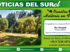 Gorbea, Río Donguil, Piscina Natural