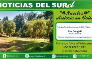 Gorbea, Río Donguil, Piscina Natural