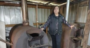 “Mujeres con Energía” de Frontel premia a 24 emprendedoras del sur de Chile