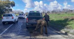 Delegado Montalva Busca Responsabilidades Por Baches En Ruta Freire-Villarrica Que Fueron Tapados Por Carabineros