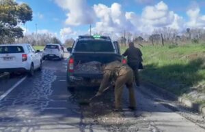 Delegado Montalva Busca Responsabilidades Por Baches En Ruta Freire-Villarrica Que Fueron Tapados Por Carabineros