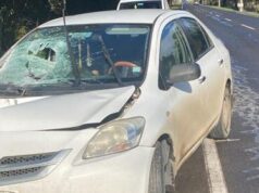 Conductor De Camión Fue Detenido Tras Accidente En Ruta Pitrufquén – Toltén