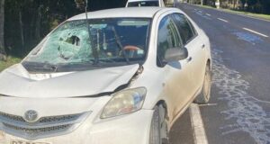 Conductor De Camión Fue Detenido Tras Accidente En Ruta Pitrufquén – Toltén