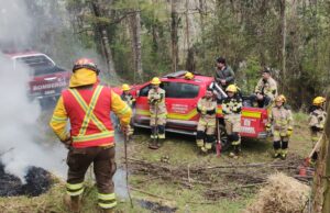 Bomberos De La Región Se Capacitan Para Enfrentar Temporada De Incendios Forestales