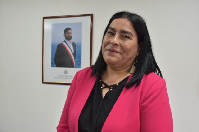 Asume Titular de Educación en La Araucanía