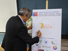 Proyecto Revolucionario Buscará Prevenir El Suicidio En Jóvenes De La Araucanía Analizando Su Voz Y Palabras