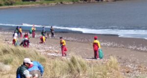Con Entusiasta Actividad en Queule Fue Conmemorado el Día Internacional de Limpieza de Playas