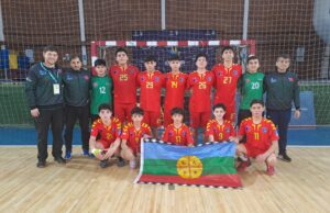 Dos Villarricenses Fueron Llamados A La Selección Chilena De Balonmano