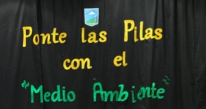 Frontel Y La Seremi Del Medio Ambiente Región De La Araucanía Lanzan VIII Versión De Campaña De Recolección De Pilas