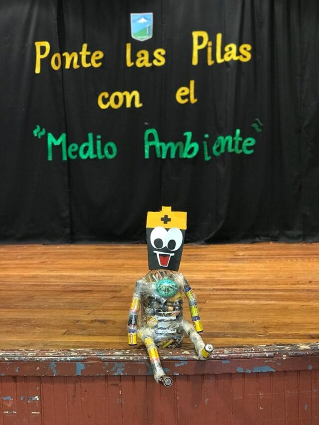 Frontel Y La Seremi Del Medio Ambiente Región De La Araucanía Lanzan VIII Versión De Campaña De Recolección De Pilas