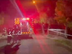 Tres Menores Perdieron La Vida Producto De Un Incendio En Angol