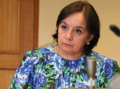 Senadora Aravena Llama A Autoridades Locales A Resolver Situación Del Paseo Bulnes Y El Mercado Municipal De Temuco