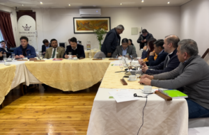 Municipios Verdes De La Araucanía Y Profesionales Se Unen Para Enfrentar Desafíos Medioambientales