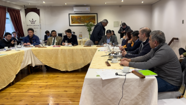 Municipios Verdes De La Araucanía Y Profesionales Se Unen Para Enfrentar Desafíos Medioambientales