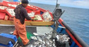 Pescadores Artesanales De Queule Denuncian Que Lanchas Provenientes De La Caleta De Lebu Invaden Zona Exclusiva De Pesca De La Araucanía