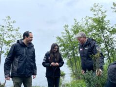 En El Marco Del Rally Mobil, Villarrica Recibe Donación De Árboles Nativos Para Humedal Urbano