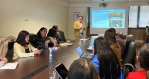 Gobierno Impulsa Mesa Regional En La Araucanía Para Avanzar En Equidad Territorial En Salud