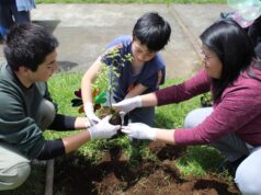 Niños, Niñas Y Adolescentes Recuperan Espacios Públicos En Freire Y Padre Las Casas