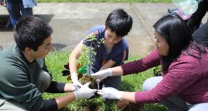 Niños, Niñas Y Adolescentes Recuperan Espacios Públicos En Freire Y Padre Las Casas