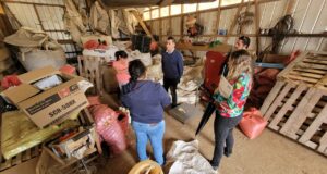 Gobierno Regional Extiende Plazo Para Concurso A Pequeños Productores Agrícolas De La Costa Araucanía