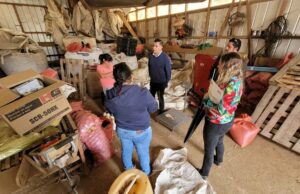 Gobierno Regional Extiende Plazo Para Concurso A Pequeños Productores Agrícolas De La Costa Araucanía