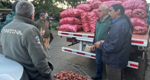 En La Araucanía Seremi De Agricultura Lidera Fiscalización Al Comercio De La Papa Para Evitar Ingreso De Productos Ilegales