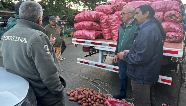 En La Araucanía Seremi De Agricultura Lidera Fiscalización Al Comercio De La Papa Para Evitar Ingreso De Productos Ilegales