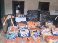 Carabineros Y Sernapesca Incautan Más 1.400 Kilos De Pescados Y Mariscos En El Peaje Quepe