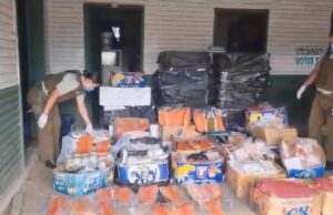 Carabineros Y Sernapesca Incautan Más 1.400 Kilos De Pescados Y Mariscos En El Peaje Quepe