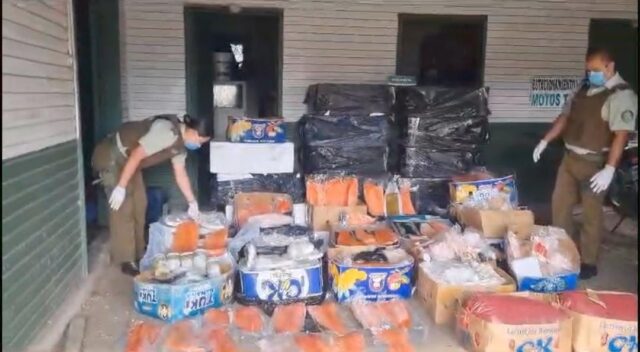 Carabineros Y Sernapesca Incautan Más 1.400 Kilos De Pescados Y Mariscos En El Peaje Quepe