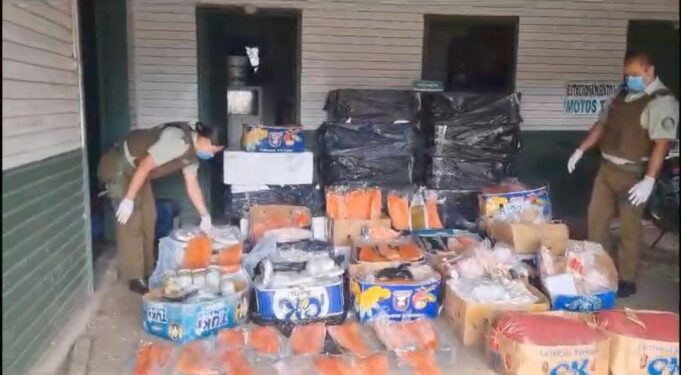 Carabineros Y Sernapesca Incautan Más 1.400 Kilos De Pescados Y Mariscos En El Peaje Quepe