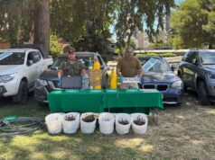 SEBV Araucanía Recupera Cuatro Vehículos Avaluados En Más De 60 Millones De Pesos