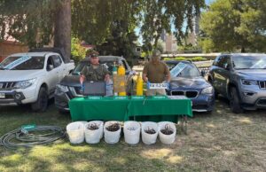 SEBV Araucanía Recupera Cuatro Vehículos Avaluados En Más De 60 Millones De Pesos