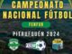 Este Sábado Comienza Campeonato Nacional De Fútbol Rural FENFUR 2024 En Pitrufquén